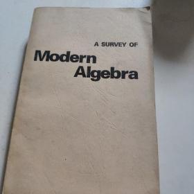 Modern ALGebra