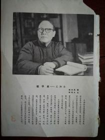 70年代末彩版美术插页（单张），江寒汀国画《春光》，数学家王湘浩介绍附照片（详见说明）