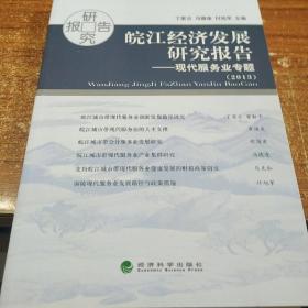 皖江經(jīng)濟(jì)發(fā)展研究報告2013-現(xiàn)代服務(wù)業(yè)專題