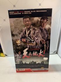 天大地大 dvd 连续剧 12碟 电视剧