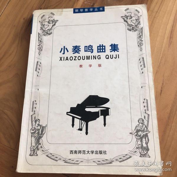 21世纪钢琴教学丛书：小奏鸣曲集（教学版）