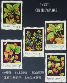 外国早期珍稀邮品终身保真【苏联邮票 HJ1982年 野生的浆果L 5全】