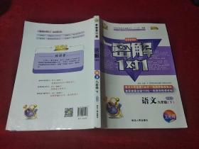 密解1对1 语文 九年级 下 部编版 单本