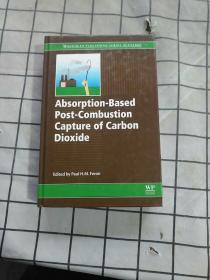 Absorption-Based Post-Combustion Capture 进口原版现货