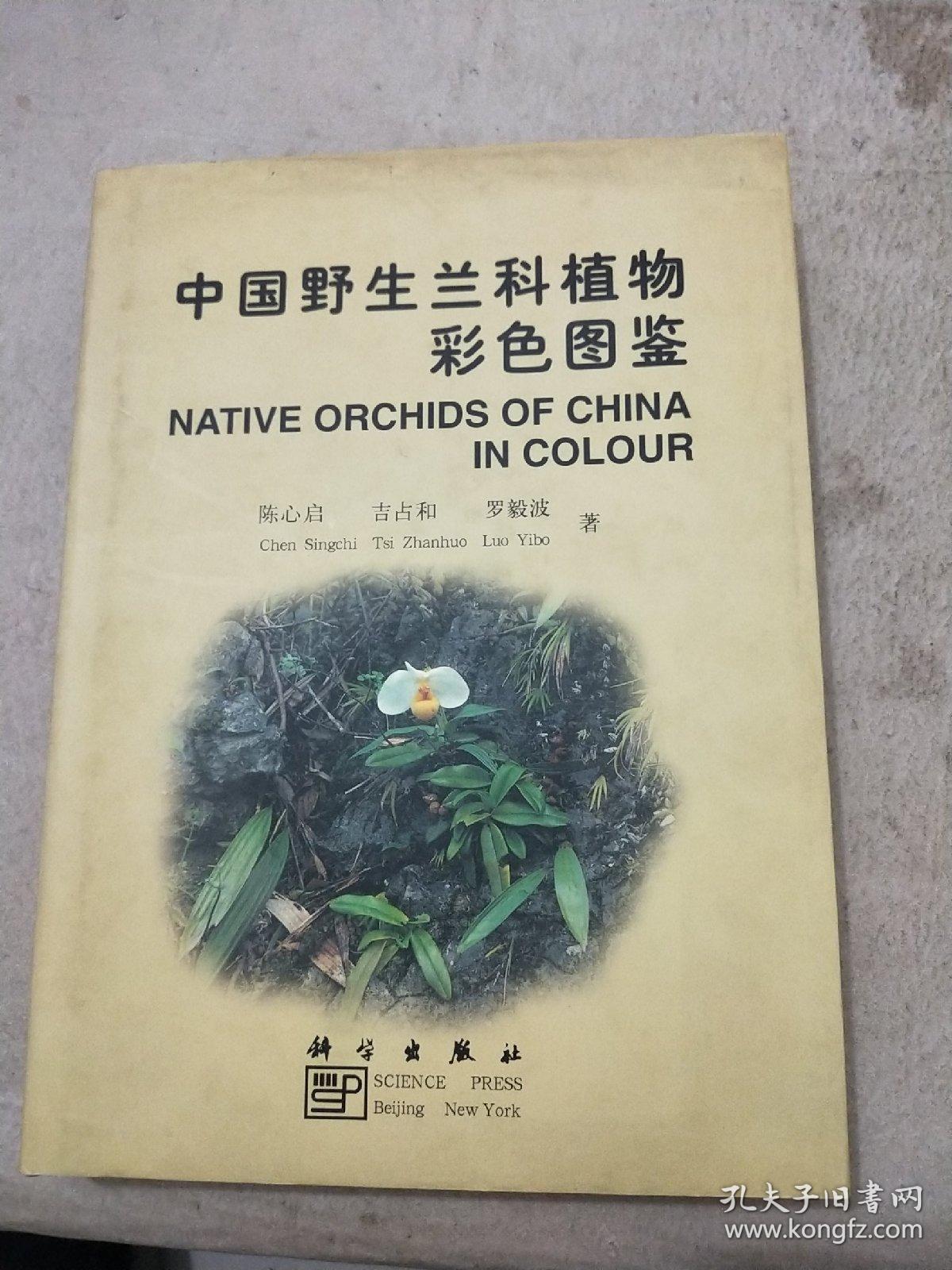 中国野生兰科植物彩色图鉴