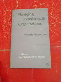 Managing Boundaries in Organizations:Multole Perspectives（管理组织中的边界: 多元视角）