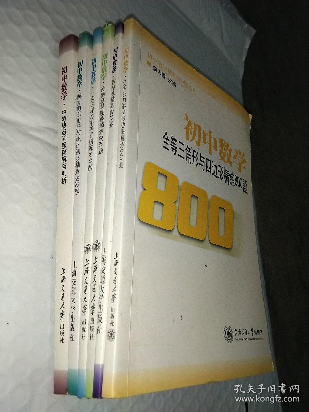 初中数学精练800题系列，6册合售，全等三角形与四边形精练800题，数与式精练800题，函数及其图像精练800题，一次方程与不等式精练800题，解直角三角形与统计初步精练800题，中考热点问题精解与剖析
