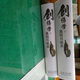 创伤学基础与临床（上下册）大16开精装上下册共3384页。