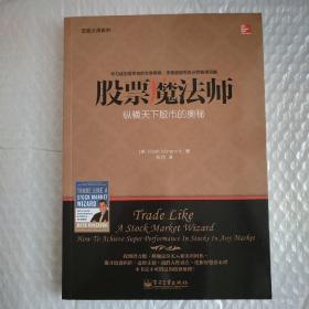 交易大师系列 股票魔法师——纵横天下股市的奥秘