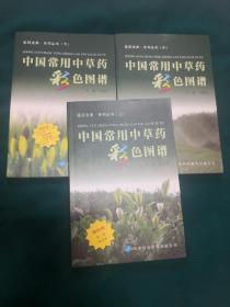 中国常用中草药彩色图谱.植物类