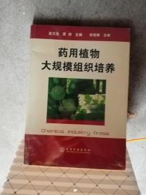 药用植物大规模组织培养