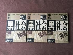 中外黑社会揭秘 (上中下全三册)