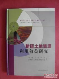 新疆土地资源利用效益研究