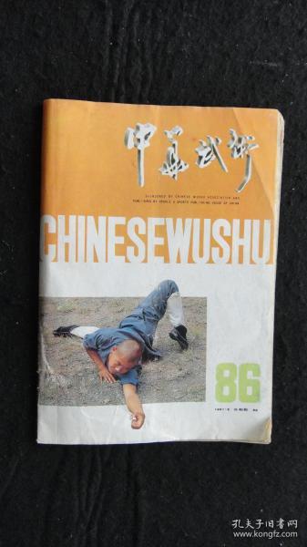 【期刊】中华武术 1991年第3期【满江红（续完）】【红砂掌（续完）】【形意拳入门（二）】【孙式太极拳的要求与练法】