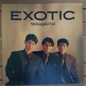 EXOTIC SHIBUGAKI－TAI 黑胶唱片LP