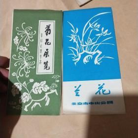 菊花展览  兰花