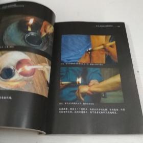 民间绝学系列·火医：符氏祖传中草药火灸治疗疑难重症经验专辑