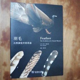 羽毛：自然演化的奇迹