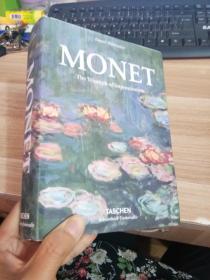 Monet or the Triumph of Impressionism