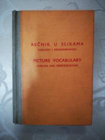 英语-塞尔维亚语图画字典.