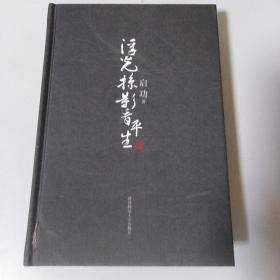 浮光掠影看平生