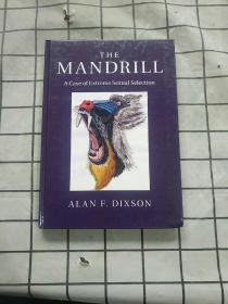 DIXSON THE MANDRILL