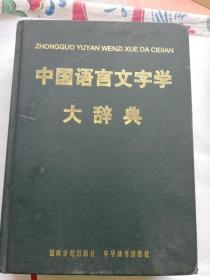 中国语言文字学大词典