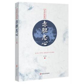 赤胆忠心（民国武侠小说典藏文库·文公直卷）
