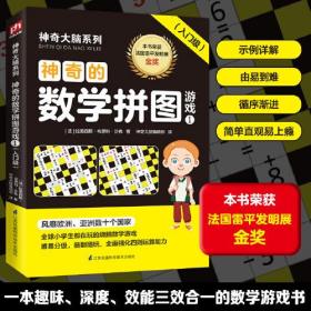 神奇的数学拼图游戏【4册】游戏1 入门级、游戏2 进阶级、游戏3 挑战级、游戏4 冲关级