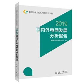 能源与电力分析年度报告系列  2019 国内外电网发展分析报告