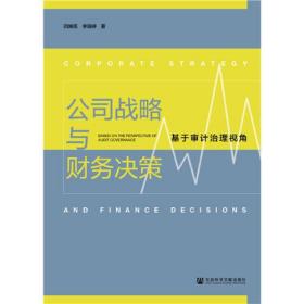 公司战略与财务决策：基于审计治理视角