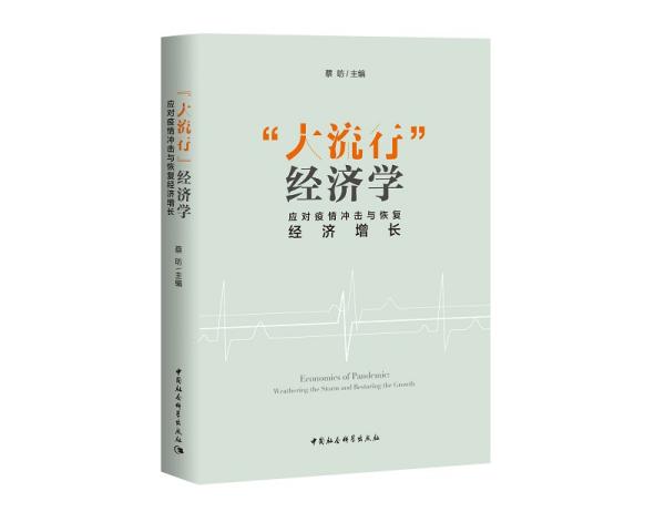 “大流行”经济学——应对疫情冲击与恢复经济增长