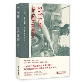 黑暗降临（TheLightsgoDown） [德]艾瑞卡·曼 著；罗原 译  武汉大学出版社  9787307210820