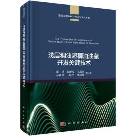 浅层稠油超稠油油藏开发关键技术