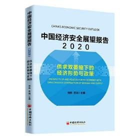中国经济安全展望报告（2020）供求双萎缩下的经济形势与政策