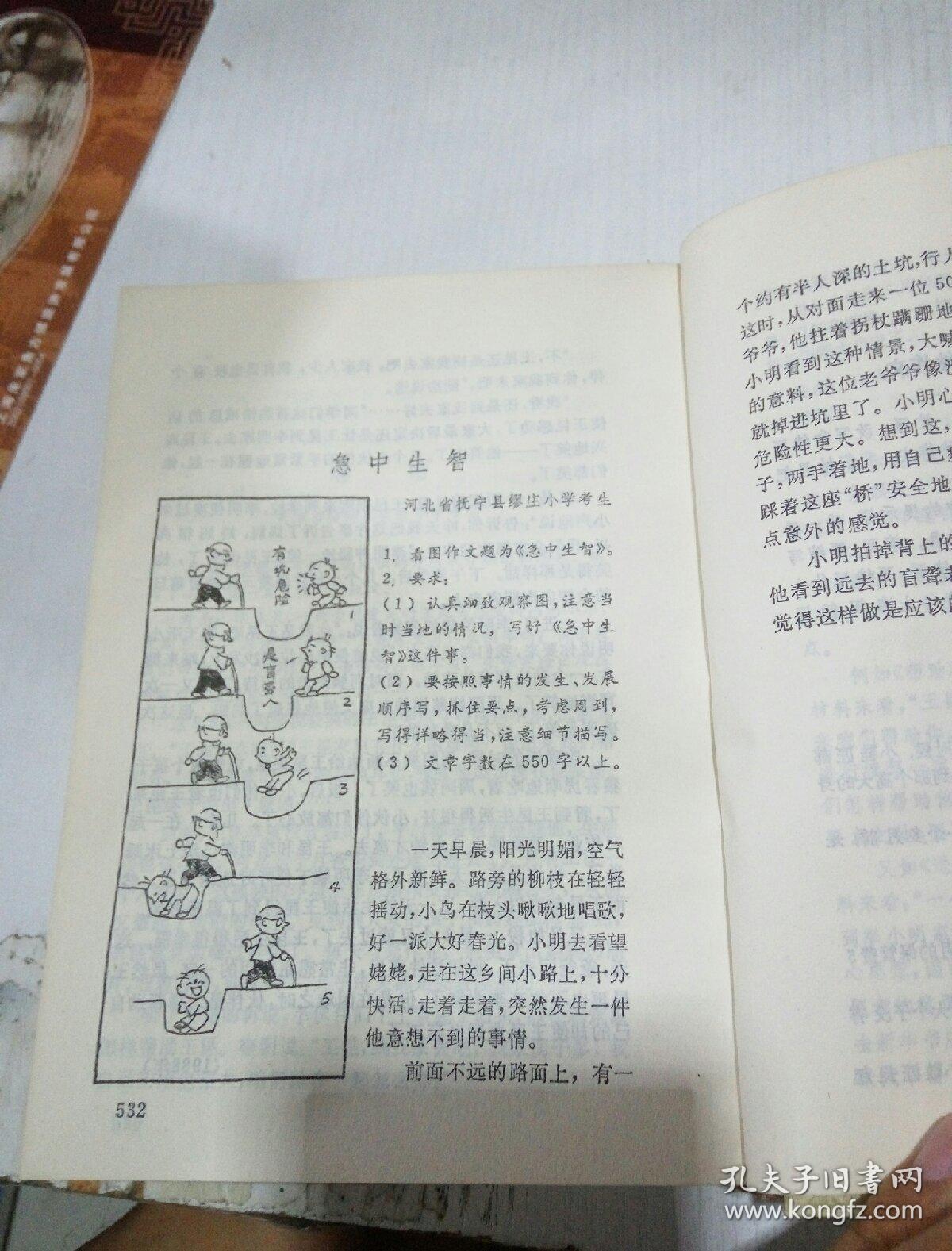 中国小学生作文大全 .