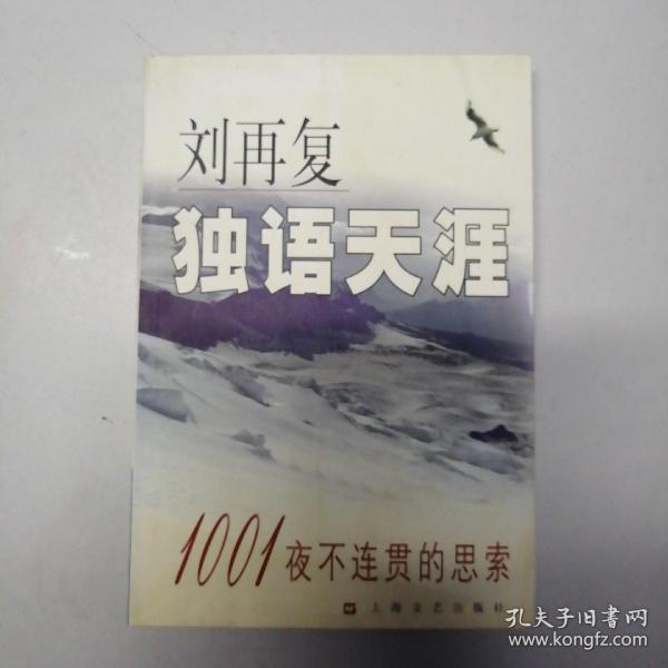 独语天涯：1001夜不连贯的思索