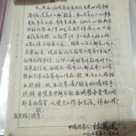 住房申请报告13份合售(寿山石雕大师林发述、叶林心、陈文斌、郭美英、林碧英，漆雕名家叶祥灶、孙大威，玉雕名家林劭川等艺术家亲笔手书)  稀有