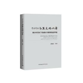 2020与黑天鹅共舞-（新分析范式下稳增长与防风险的平衡）