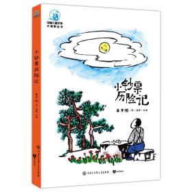 中国儿童文学大视野丛书：小钞票历险记