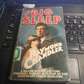 英文小说 the big sleep