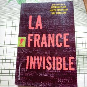 La France invisible  法文