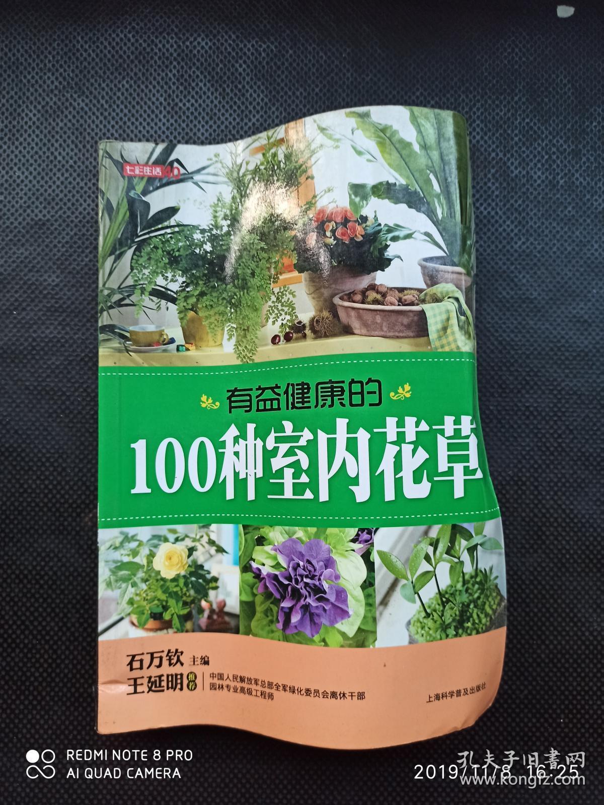 有益健康的100种室内花草
