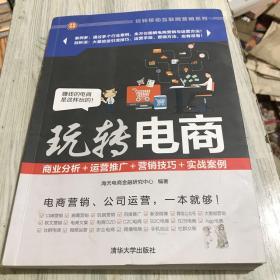 玩转电商：商业分析＋运营推广＋营销技巧＋实战案例（玩转移动互联网营销系列）