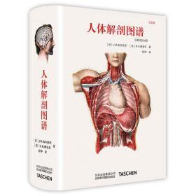 完全版 人体解剖图谱 汉英法拉对照 医学人体艺用解剖图鉴