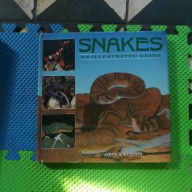 SNAKES AN ILLUSTRATED GUIDE