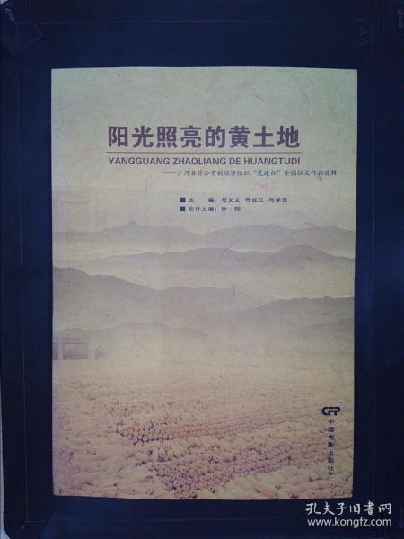 阳光照亮的黄土地:广河县非公有制经济组织“党建杯”全国征文作品选辑