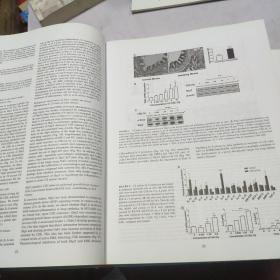 浙江大学呼吸疾病研究所2004--2013 10周年论文选集（16开精装）英文版