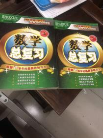 数学总复习 上 下（两册合售）
