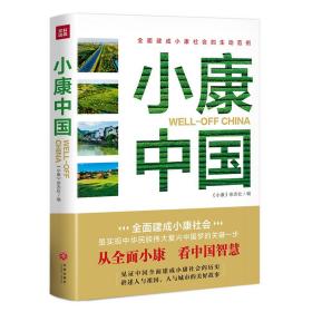 小康中国（汇聚有价值的经验，总结中国智慧的有效路径）